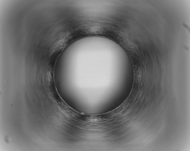 X0000097750746200803211651