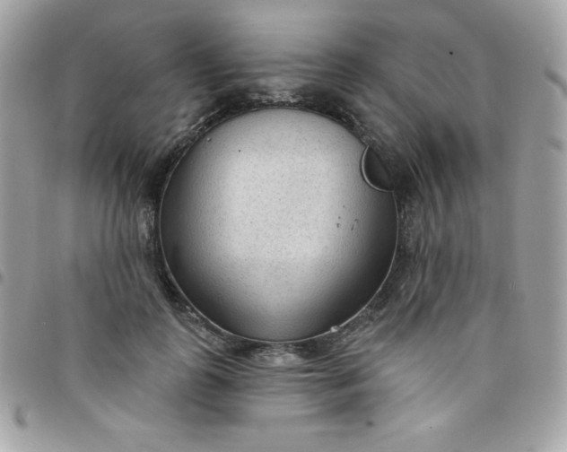 X0000097750747200803211651