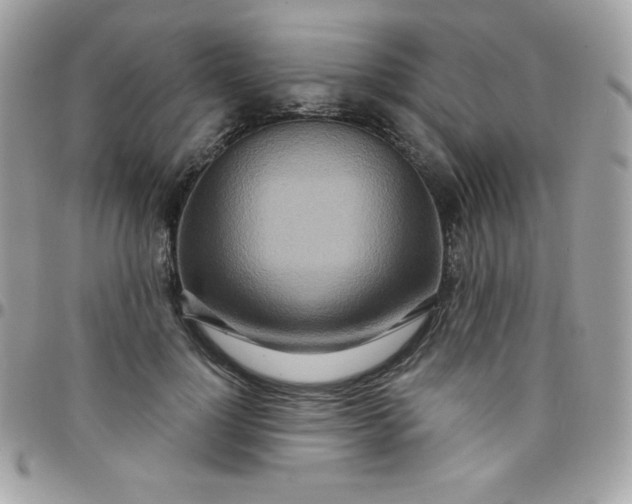 X0000097750748200803211651