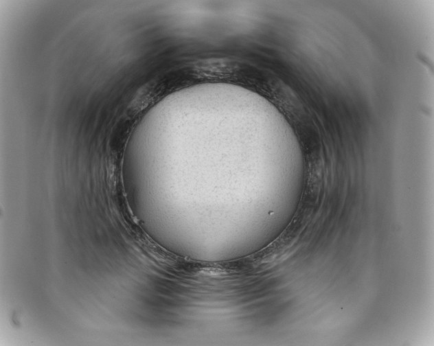 X0000097750749200803211651