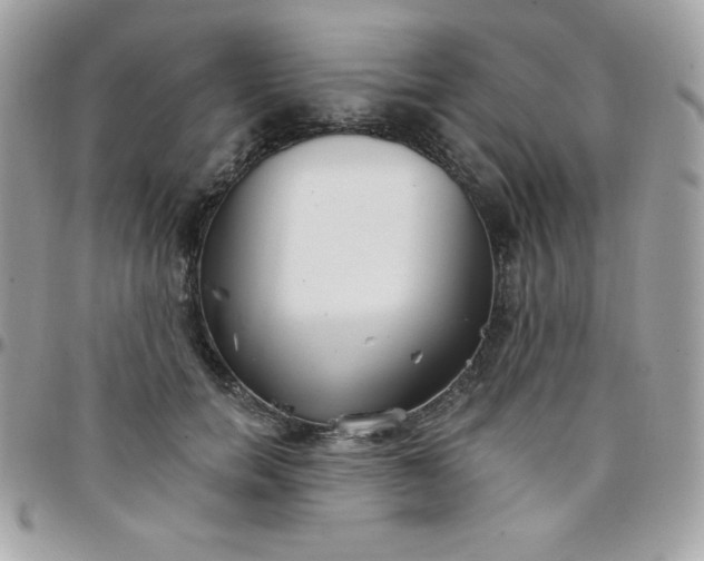 X0000097750750200803211651