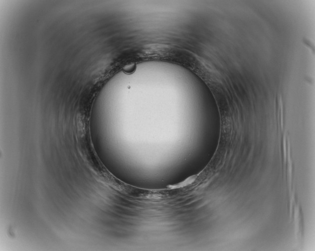 X0000097750751200803211651