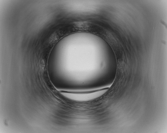 X0000097750752200803211651