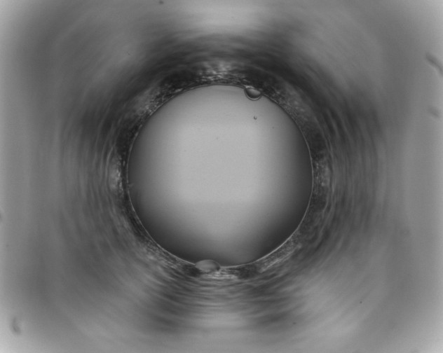 X0000097750754200803211651