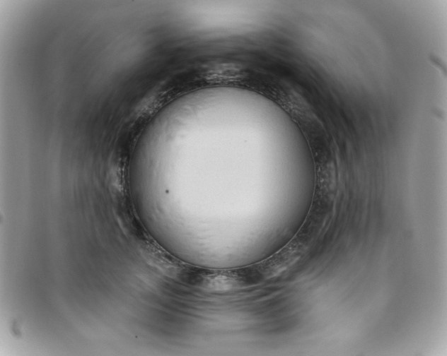 X0000097750755200803211651