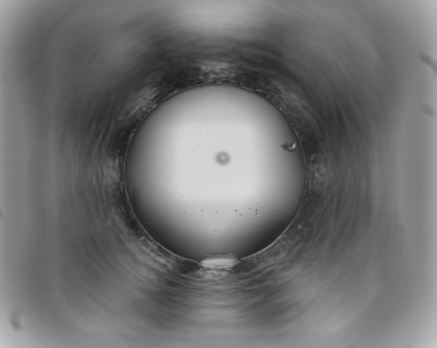 X0000097750756200803211651