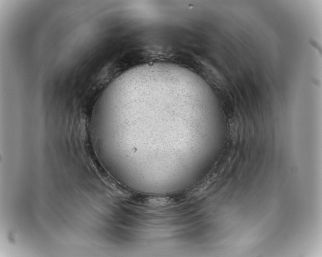 X0000097750757200803211651