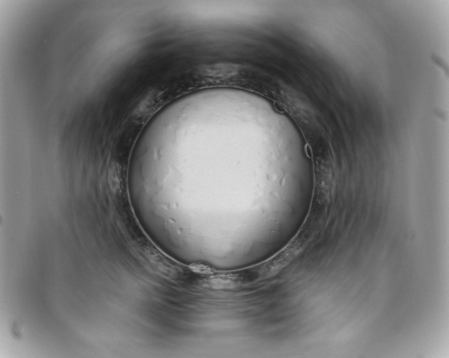 X0000097750758200803211651