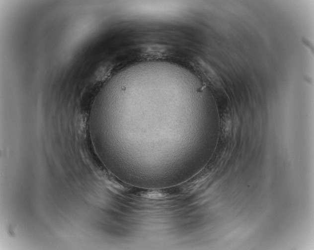 X0000097750759200803211651