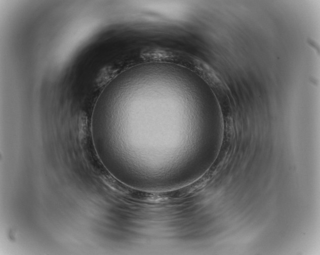 X0000097750760200803211651