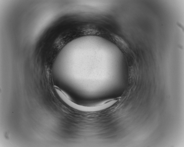 X0000097750761200803211651