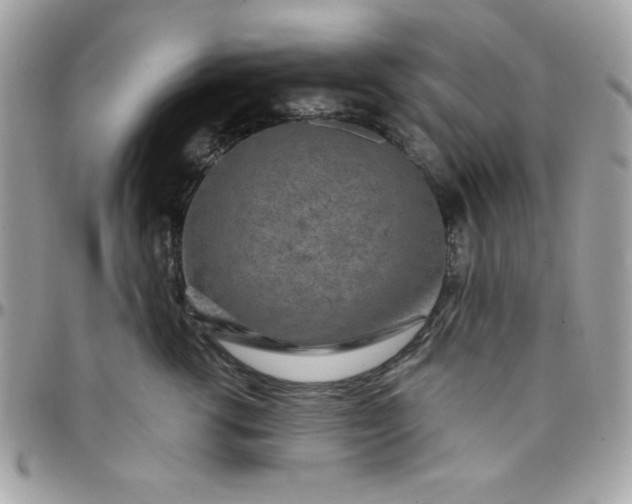 X0000097750762200803211651