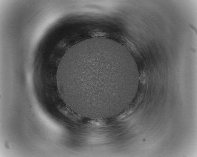 X0000097750763200803211652