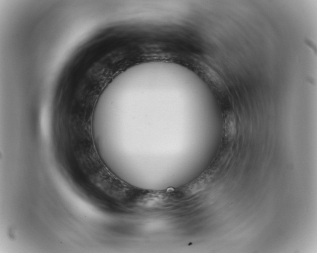 X0000097750764200803211652