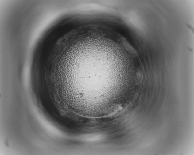 X0000097750765200803211652