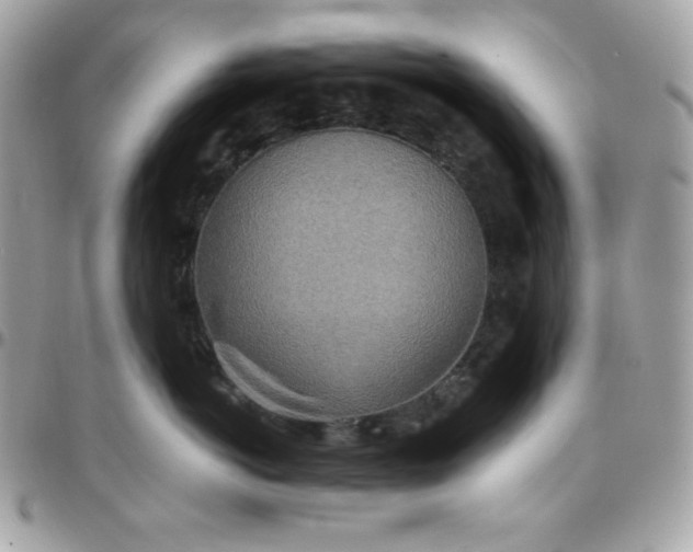 X0000097750766200803211652