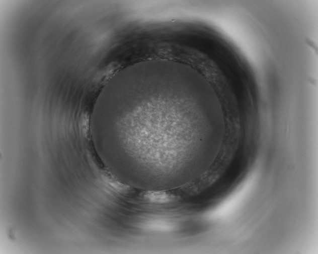 X0000097750767200803211652