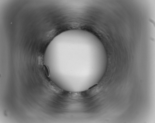 X0000097750768200803211652