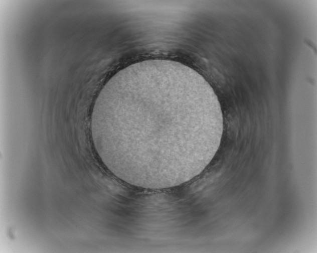 X0000097750769200803211651