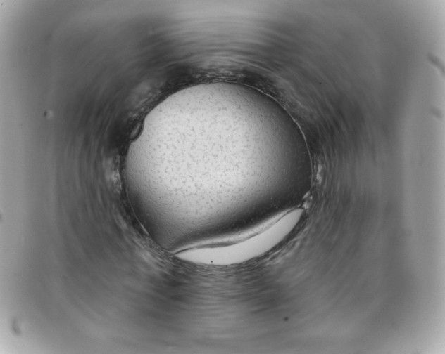 X0000097750771200803211651