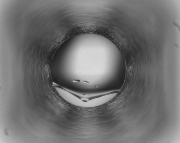 X0000097750772200803211651