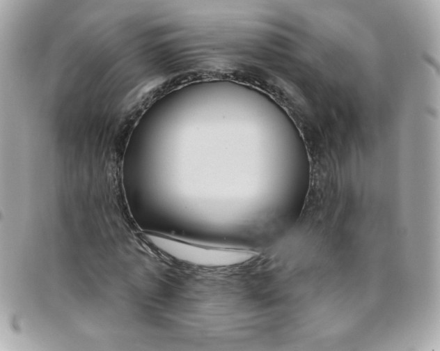 X0000097750773200803211651