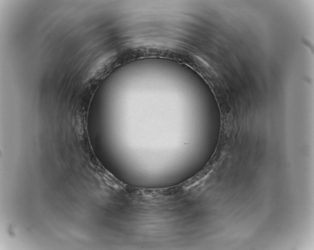 X0000097750774200803211651