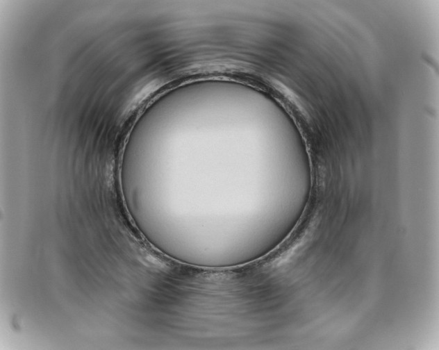 X0000097750778200803211651