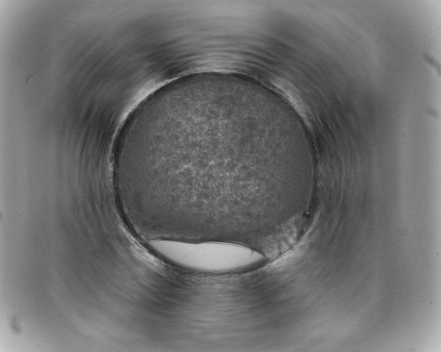 X0000097750779200803211651