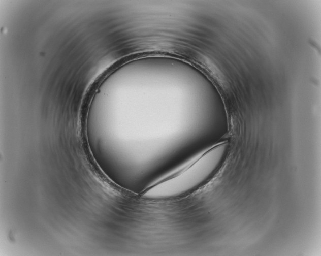 X0000097750780200803211651