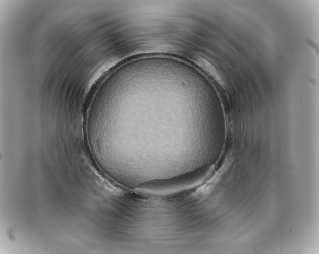 X0000097750781200803211651