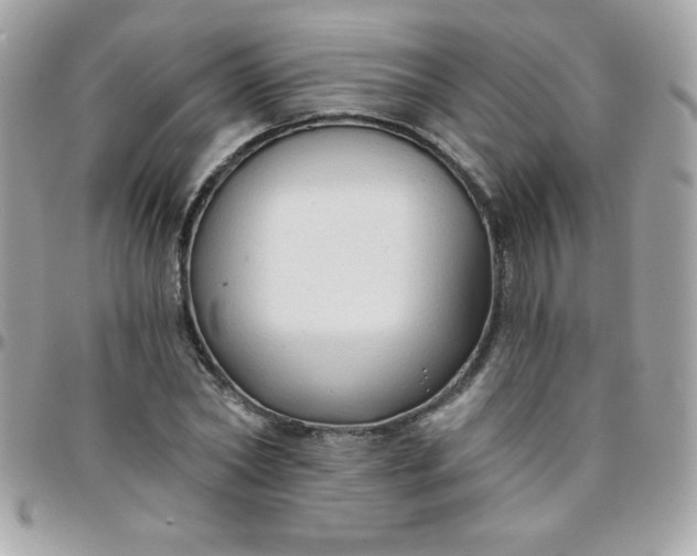 X0000097750782200803211651