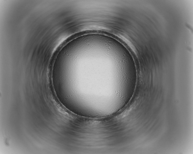 X0000097750783200803211651