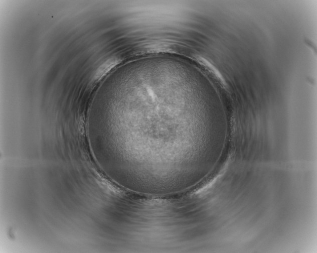 X0000097750785200803211651