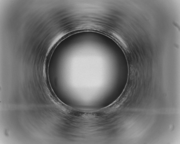 X0000097750788200803211651