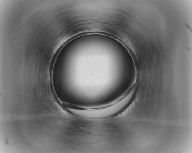 X0000097750789200803211651