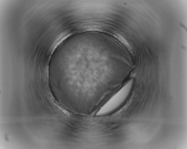 X0000097750790200803211651