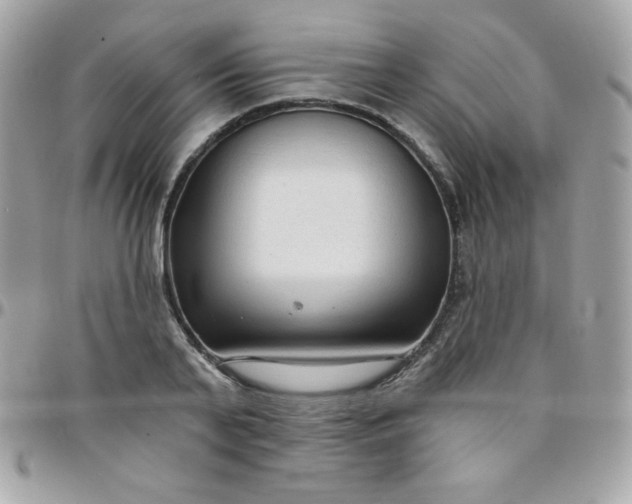 X0000097750791200803211651