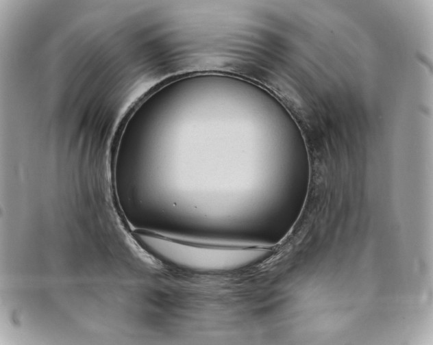 X0000097750792200803211651