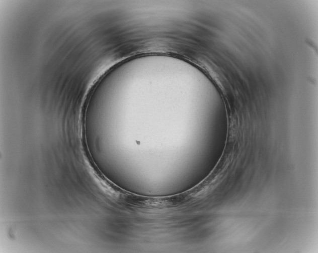 X0000097750795200803211651