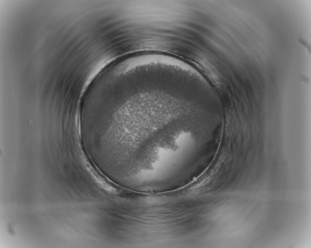 X0000097750796200803211651