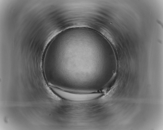 X0000097750797200803211651