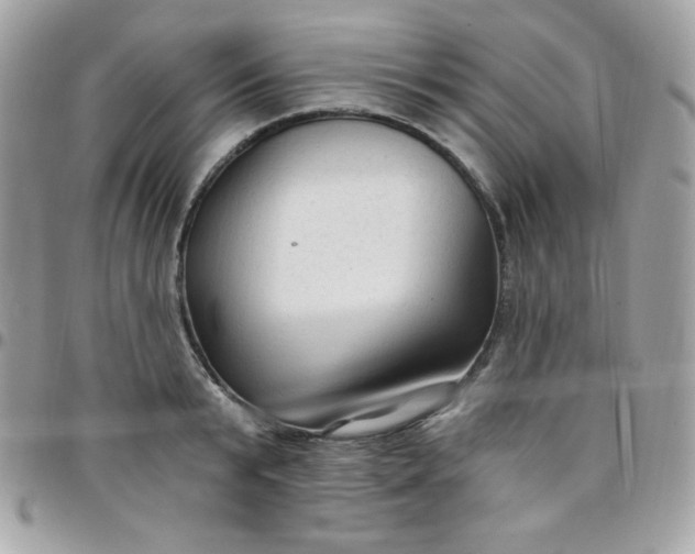 X0000097750799200803211651