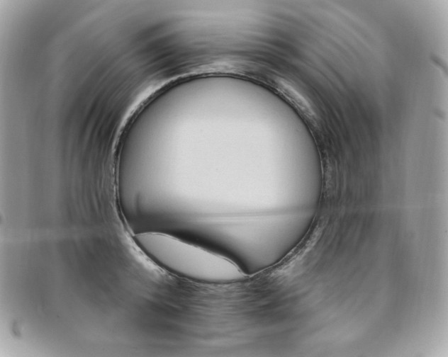 X0000097750800200803211650