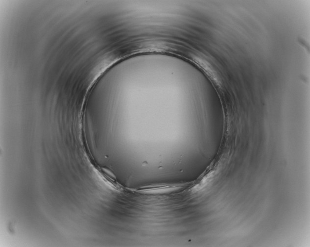 X0000097750802200803211650