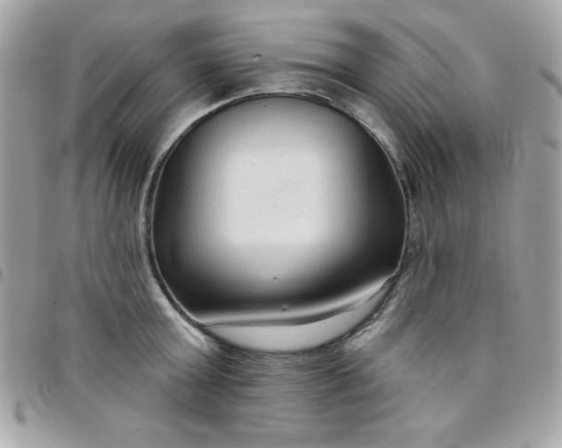 X0000097750803200803211650