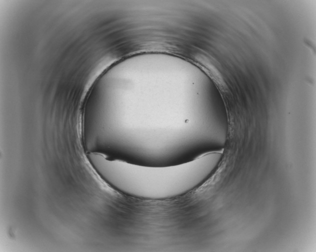 X0000097750804200803211650