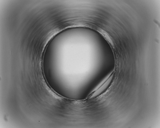 X0000097750805200803211650