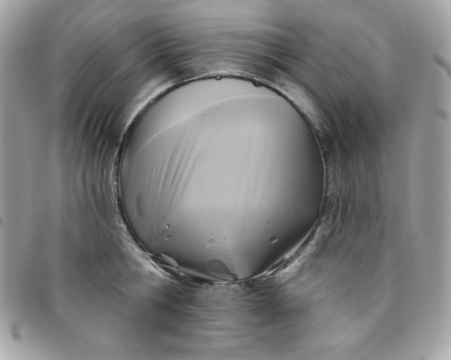 X0000097750806200803211650