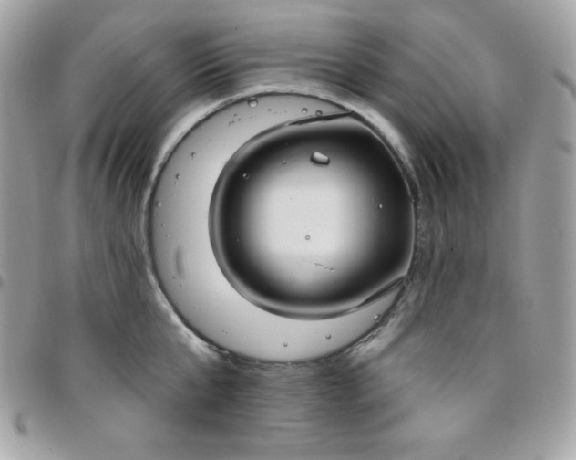 X0000097750807200803211650